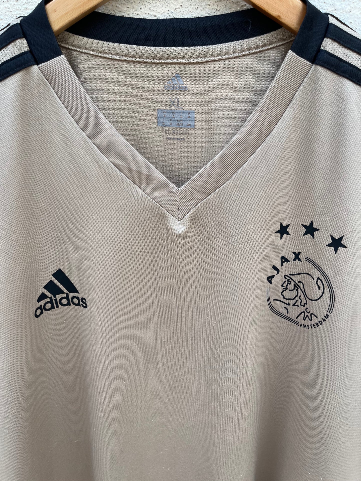 Ajax Amsterdam 2018-2019 training shirt