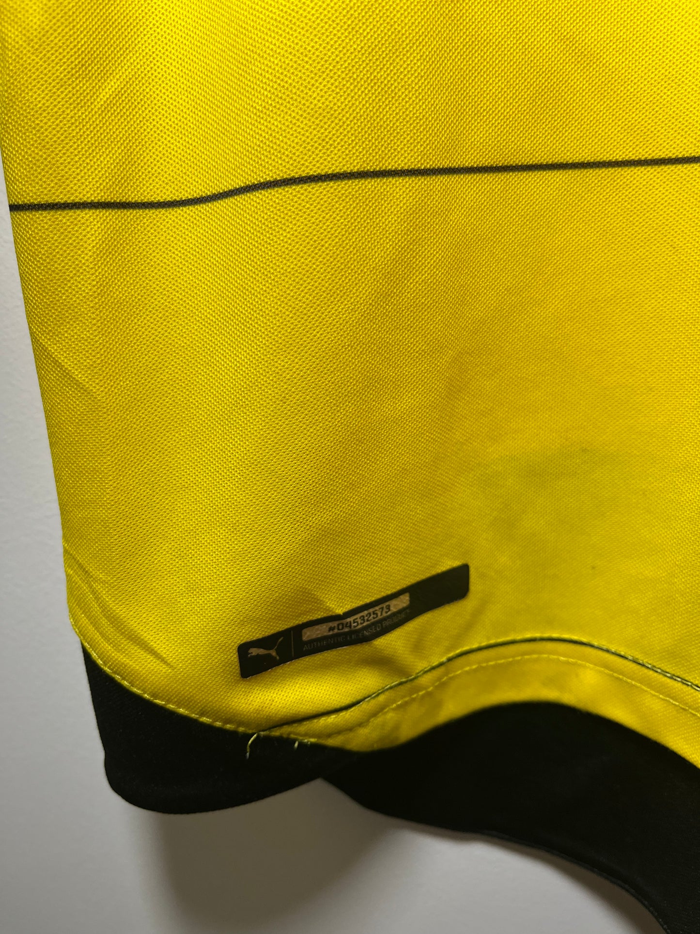 Borussia Dortmund 2015-16 Home