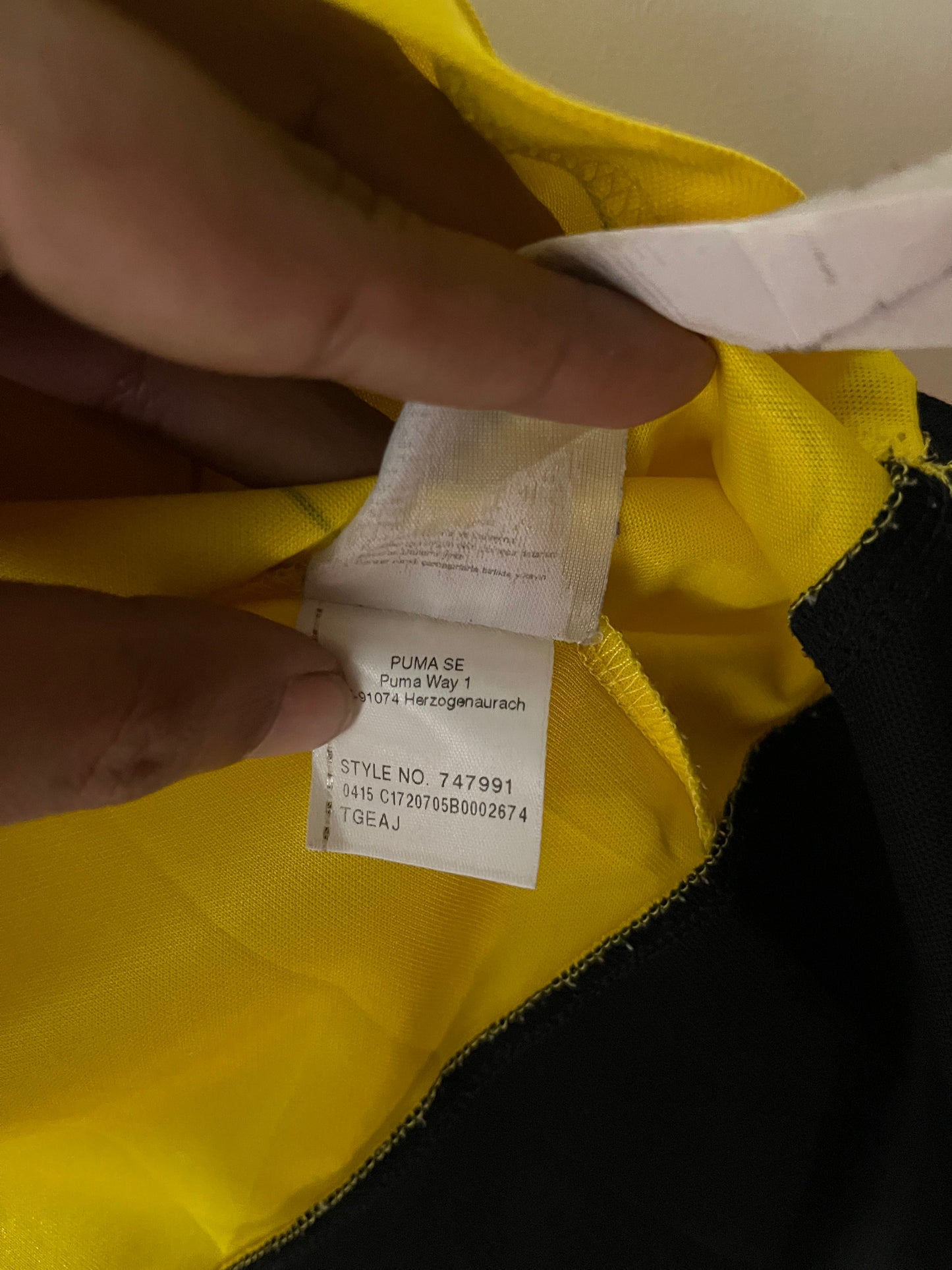 Borussia Dortmund 2015-16 Home