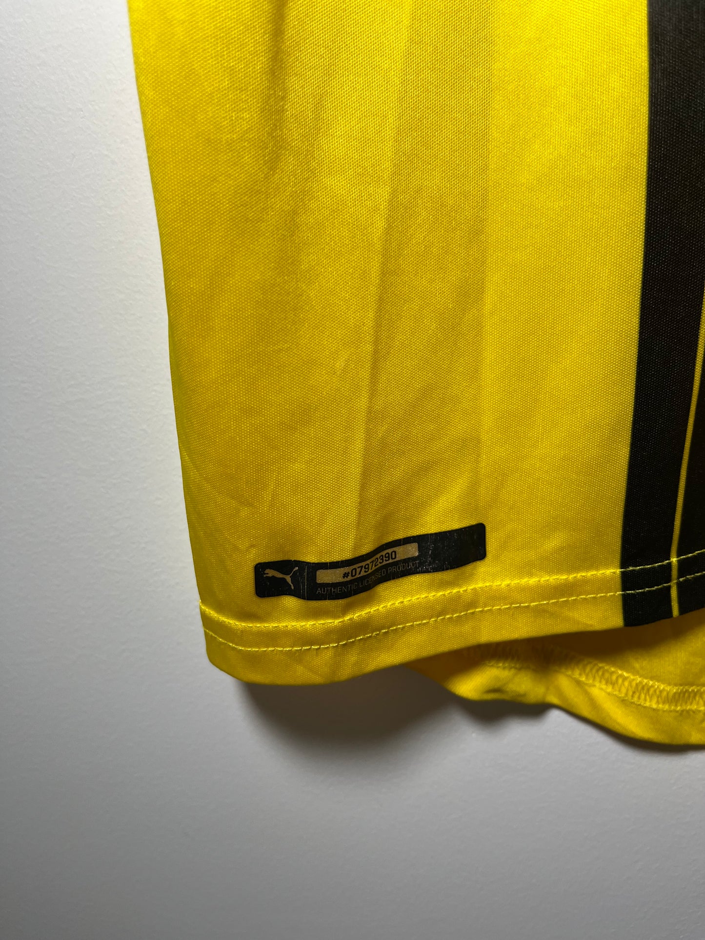 Borussia Dortmund 2016-17 Home