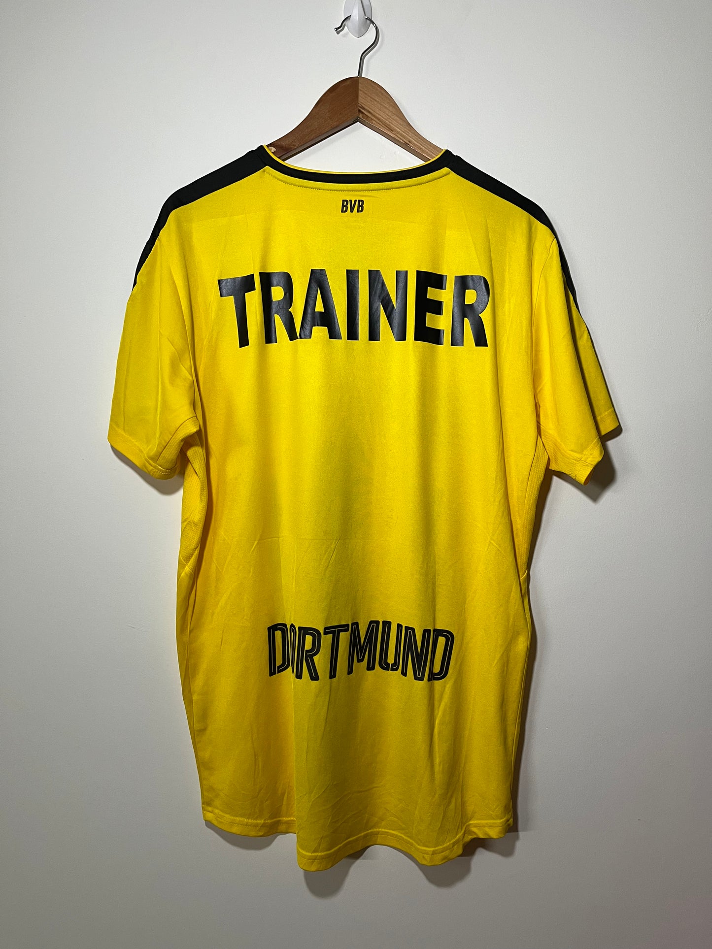 Borussia Dortmund 2016-17 Home