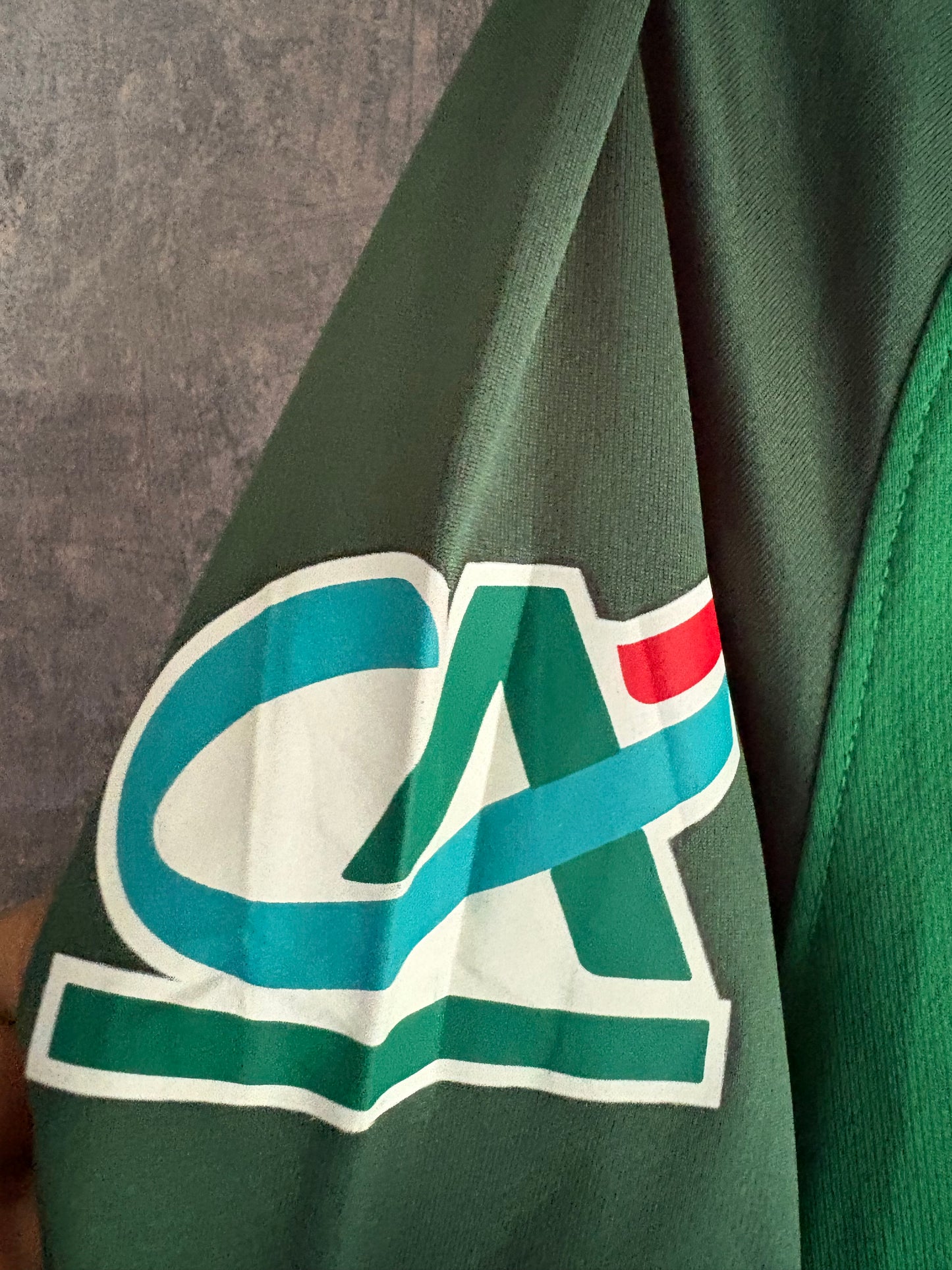 Nike Coupe De France 2013-14 long sleeve