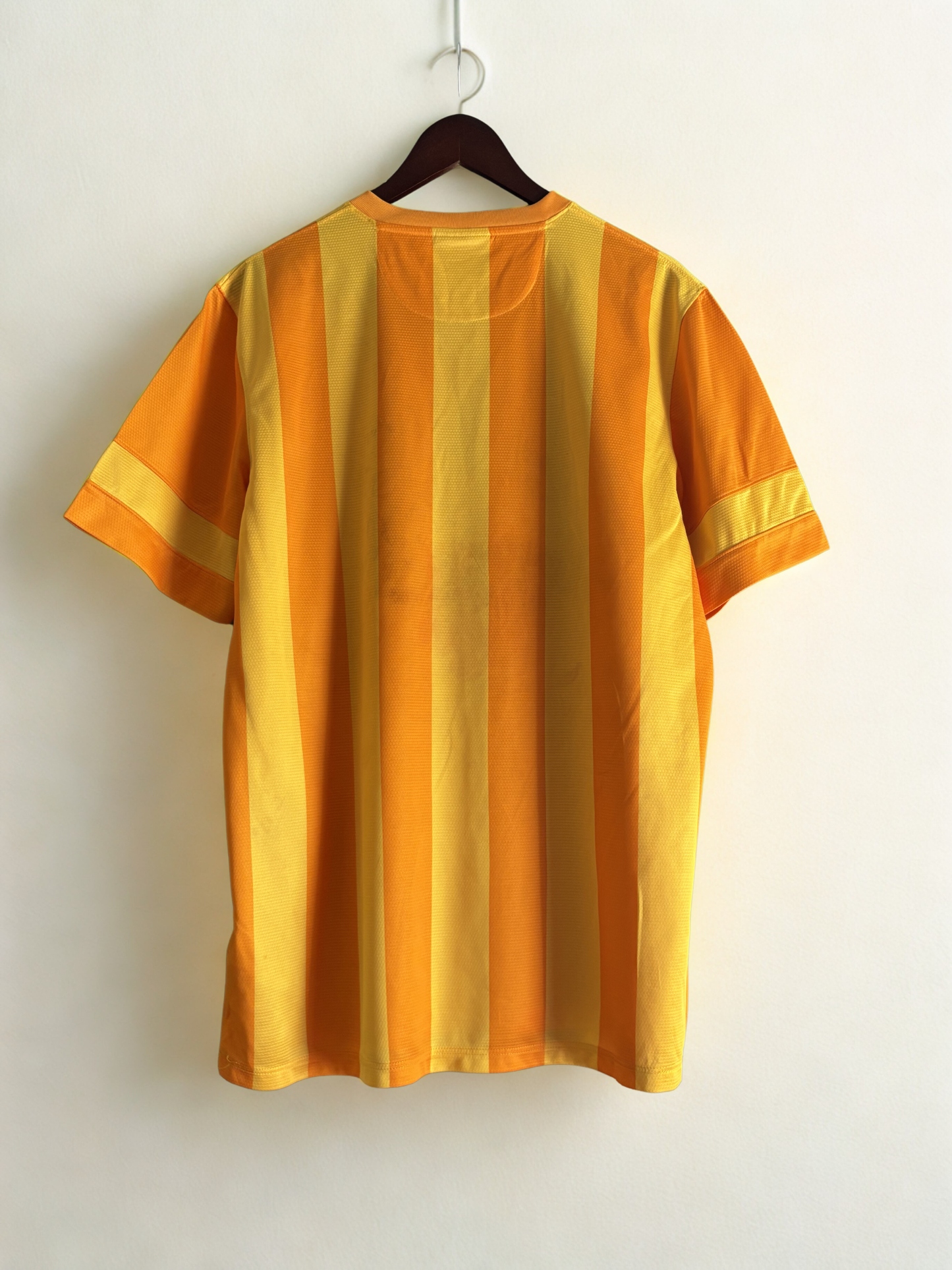 Hertha BSC Berlin 2013-14 (Rare)