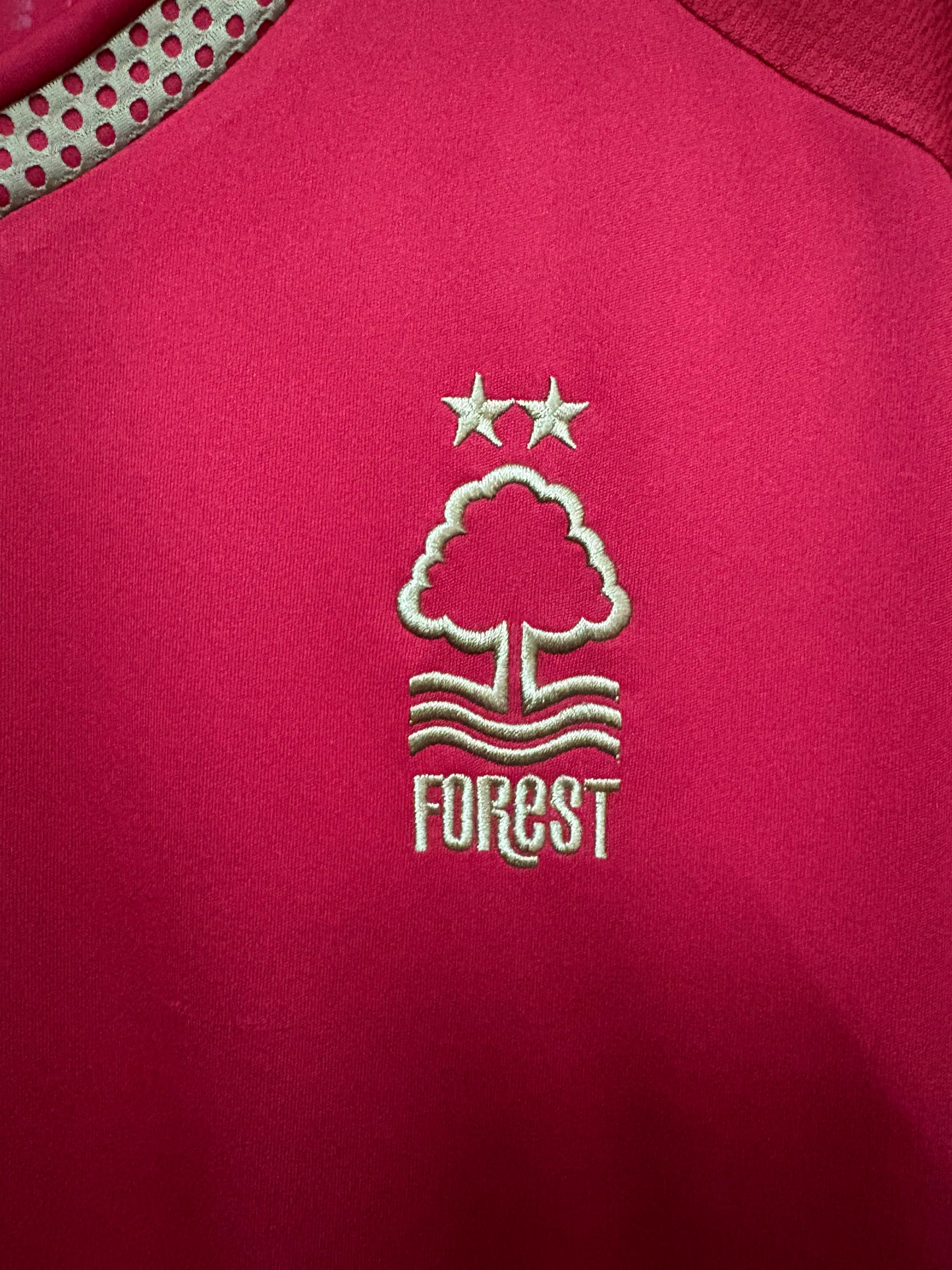 Nottingham forest 2015-16 Home(Rare)
