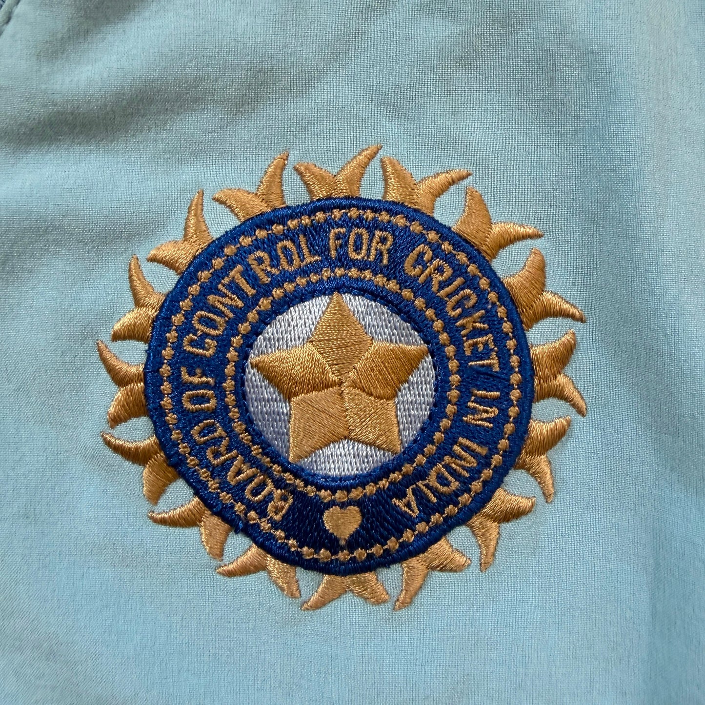 Ganguly x India Cricket 2007