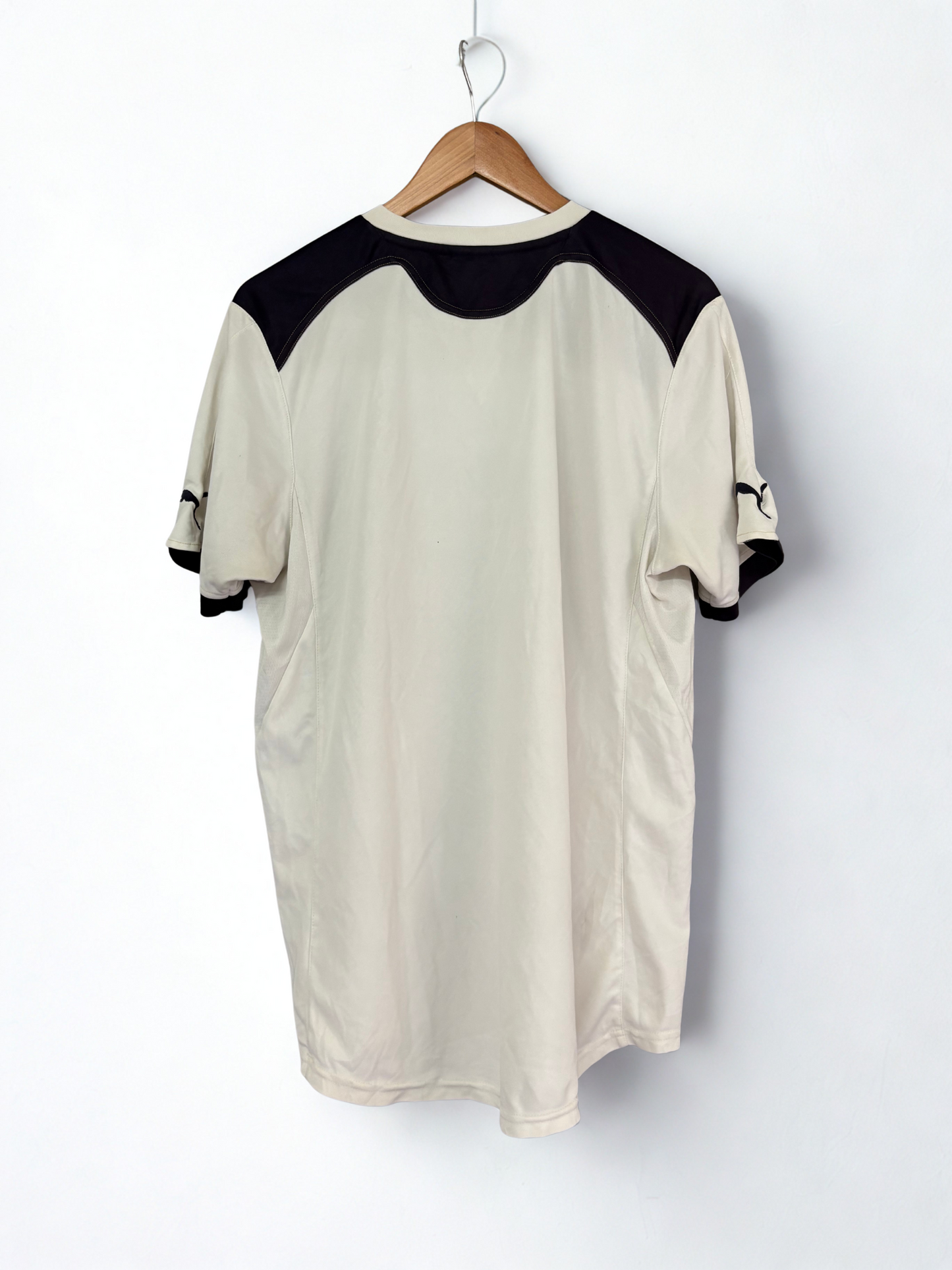Tottenham Hotspur FC 2010-11 Home