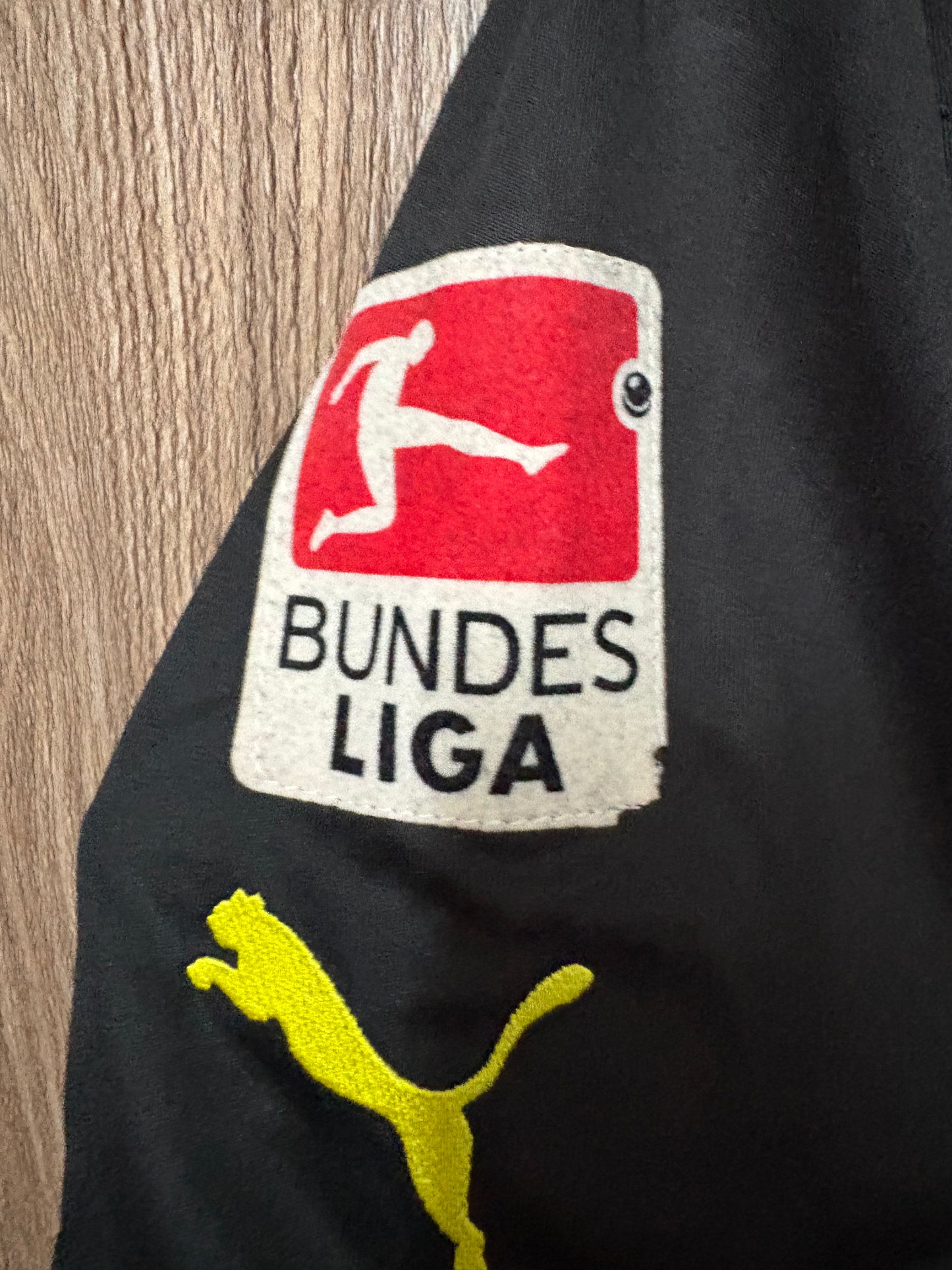 BVB Dortmund 2014 away