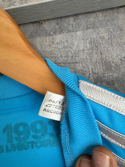 Marseille 2013-14 third Kit