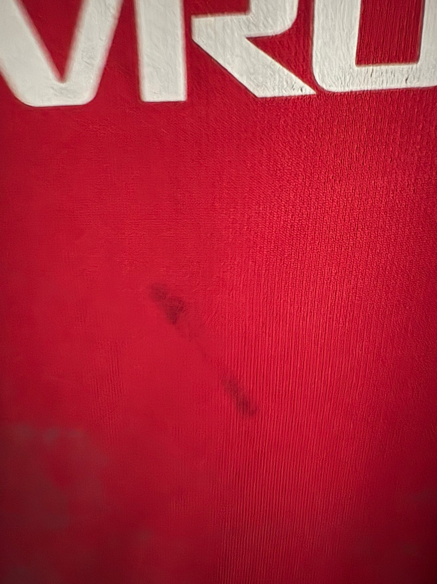 Manchester United 2015-16 Home