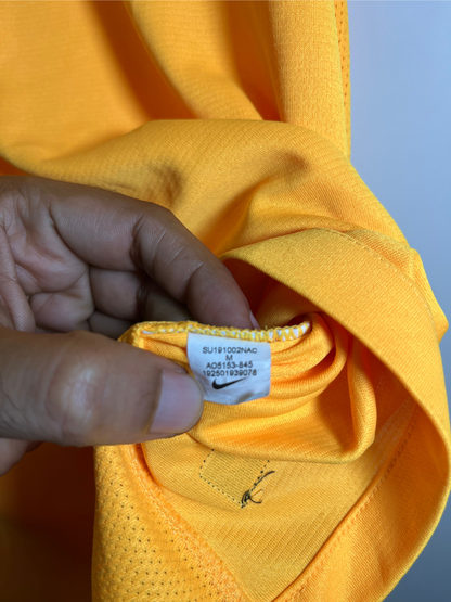 Galatasaray 2019-20 training Nike